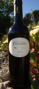 Merlot, vins rouges du domaine viticole des Pascales à Gabian