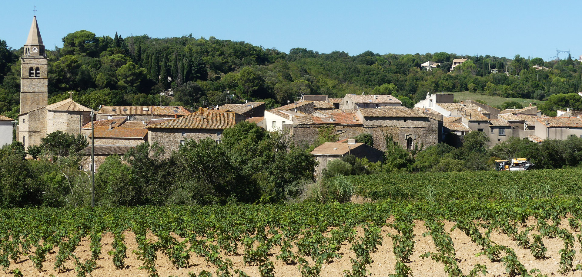 les-vignes-devant-le-village-de-Gabian
